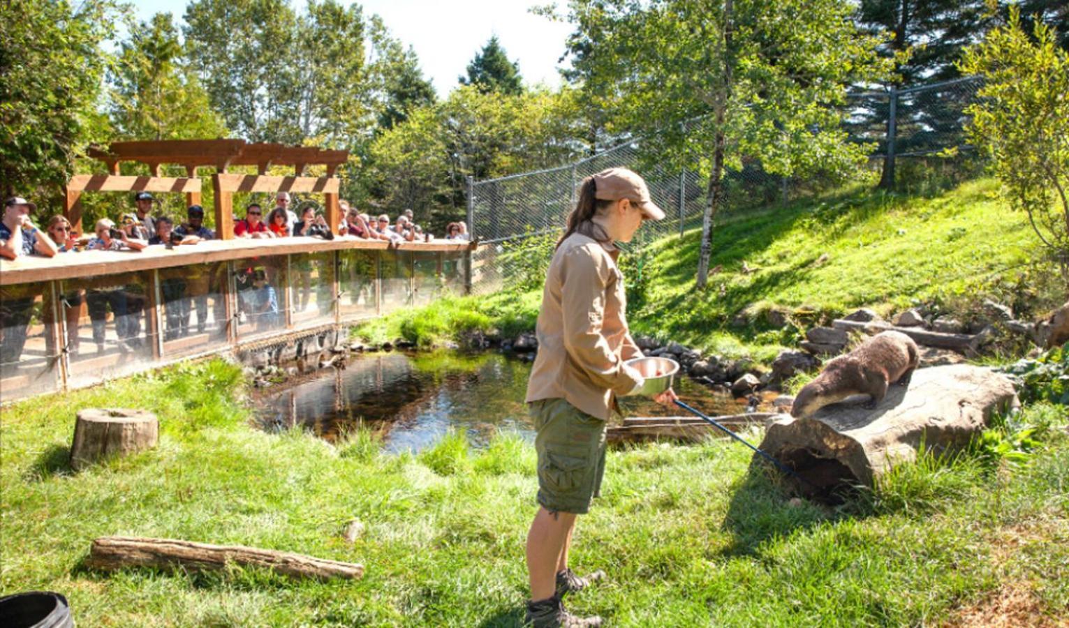 Auberge Soleil De Mer Бонавентура Екстериор снимка